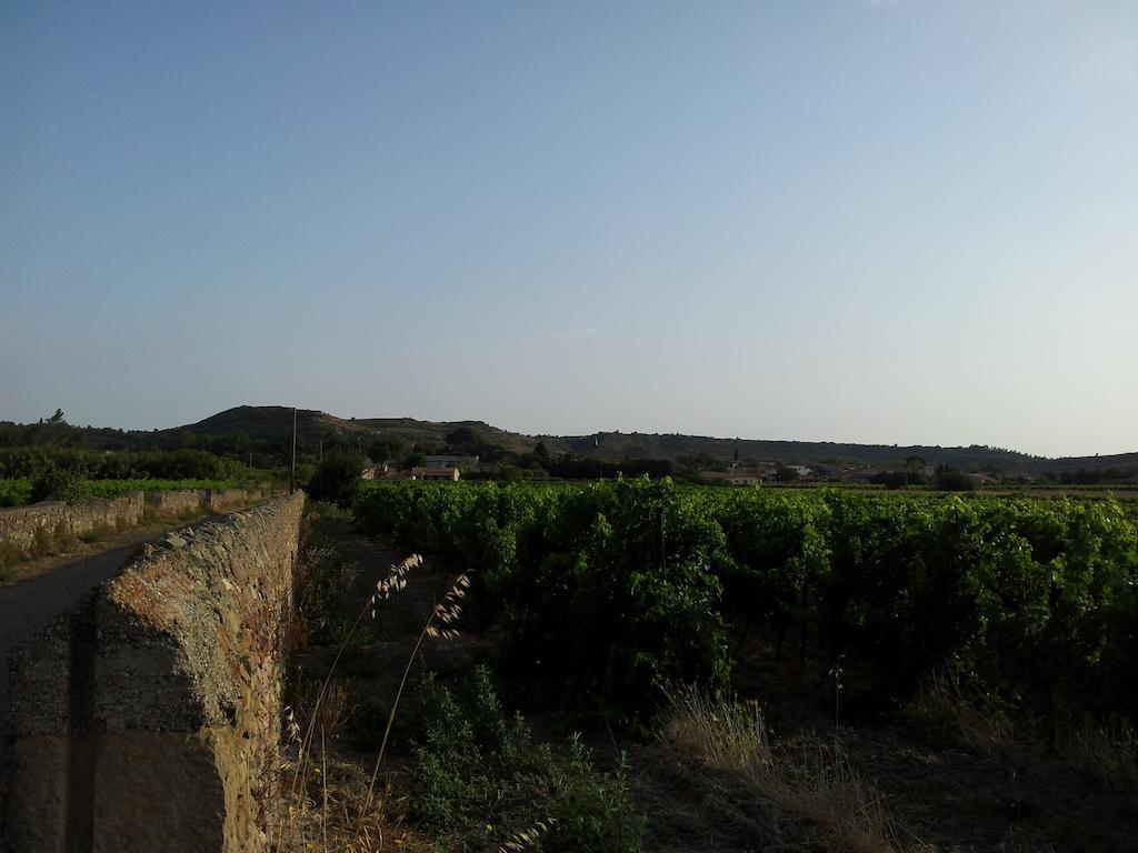 Millot Conilhac Bed and Breakfast Εξωτερικό φωτογραφία